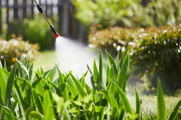 24/7 Emergency Ant Control experts in Milan, IL
